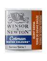 PASTILLAS DE ACUARELA COTMAN DE WINSOR & NEWTON MEDIO GODET
