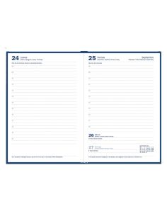 AGENDA MYRGA 2027 PRAXIS AZUL DÍA PÁGINA 2