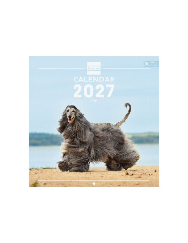 CALENDARIO FINOCAM PARED 2027 30X30 PERRITOS INTL