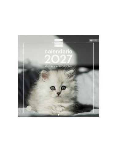CALENDARIO FINOCAM PARED 2027 30X30 GATITOS