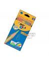 CAJA 12 LAPICEROS DE COLORES TROPICOLOR BIC