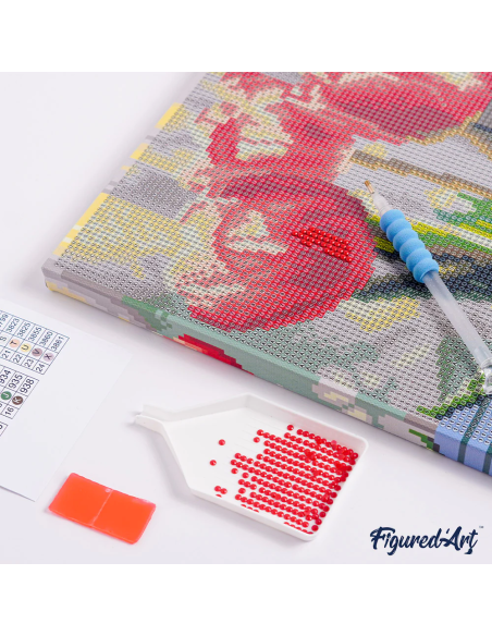 DIAMOND PAINTING 25X25CM CON MARCO - LEON POP ART