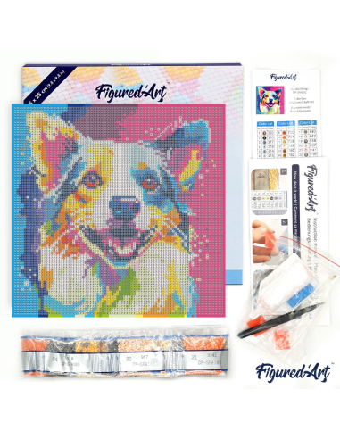 DIAMOND PAINTING 25X25CM CON MARCO - PERRO POP ART