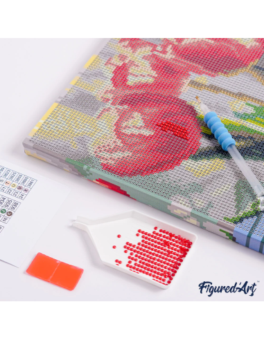 DIAMOND PAINTING 25X25CM CON MARCO - SIRENA ROSA