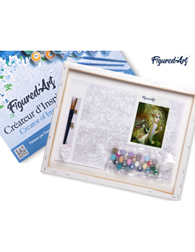 LIENZO PINTAR POR NUMEROS CON BASTIDOR 40X50CM...