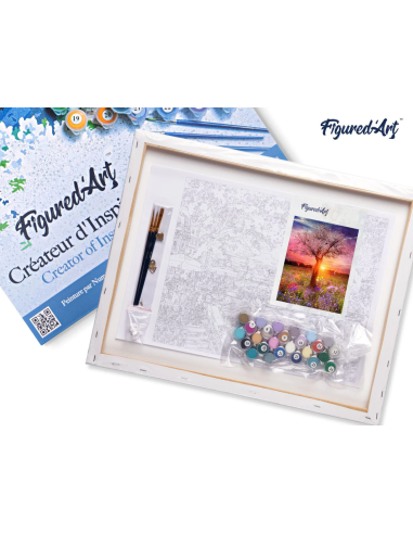 LIENZO PINTAR POR NUMEROS CON BASTIDOR 40X50CM...