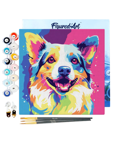 LIENZO PINTAR POR NUMEROS CON BASTIDOR 20X20...