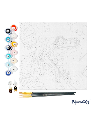 LIENZO PINTAR POR NUMEROS CON BASTIDOR 20X20...