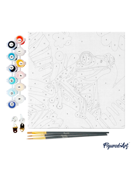 LIENZO PINTAR POR NUMEROS CON BASTIDOR 20X20 RANA ARBOREA