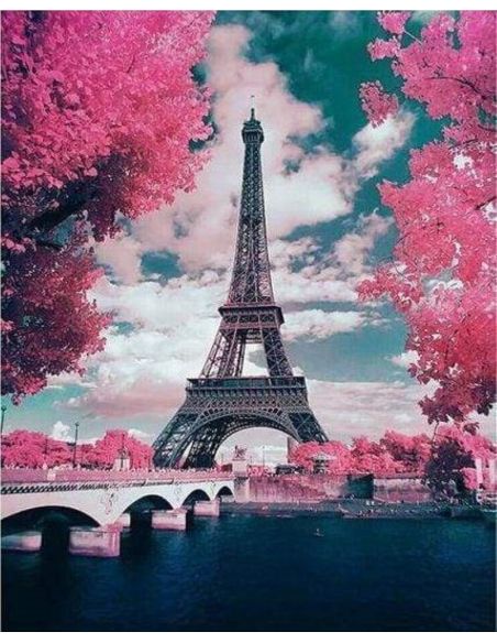 KIT PUNTO DE CRUZ 32X40CM- TORRE EIFFEL ENTRE FLORES