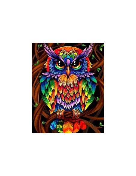 LIENZO ENROLLADOPINTAR POR NUMEROS 40X50CM BUHO MÁGICO DE COLORES