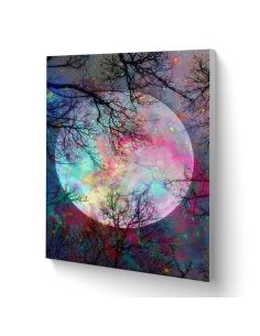 LIENZO PINTAR POR NUMEROS CON BASTIDOR 40X50CMLA MAGIA DE LA LUNA LLENA