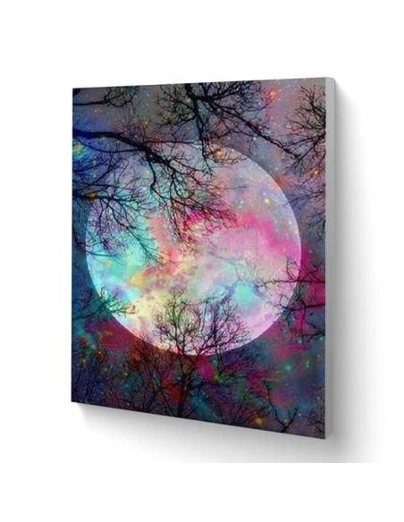 LIENZO PINTAR POR NUMEROS CON BASTIDOR 40X50CMLA MAGIA DE LA LUNA LLENA