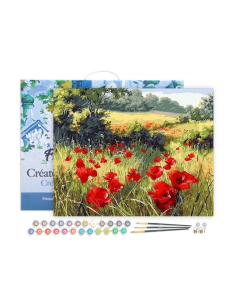 LIENZO PINTAR POR NUMEROS CON BASTIDOR 40X50CM  CAMPO DE...