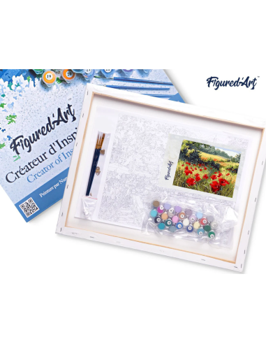 LIENZO PINTAR POR NUMEROS CON BASTIDOR 40X50CM...