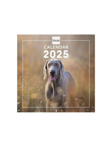 CALENDARIO FINOCAM PARED 2025 30X30 DOGS INTERNACIONAL