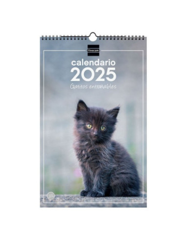 CALENDARIO FINOCAM 2025 PARED ESPIRAL 25X40 GATITOS