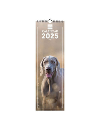 CALENDARIO FINOCAM PARED 2025 ESPIRAL 15X48 DOGS INTERNACIONAL