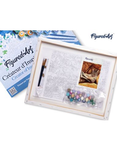 LIENZO PINTAR POR NUMEROS CON BASTIDOR 40X50CM EL GATO LECTOR