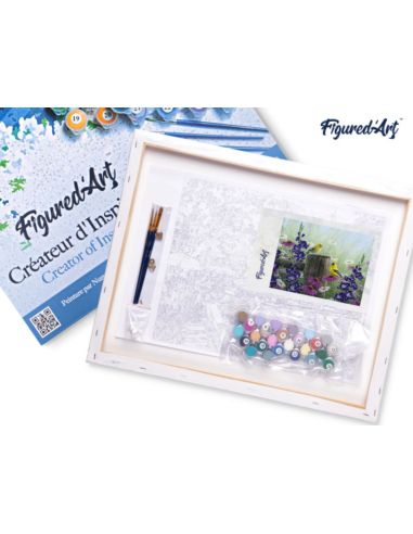 LIENZO PINTAR POR NUMEROS CON BASTIDOR 40X50CM PÁJAROS EN PARAJE FLOREADO