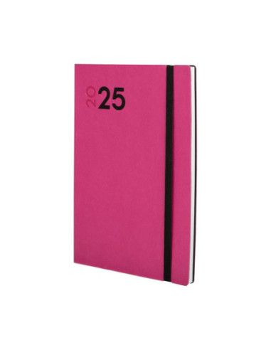 AGENDA ANUAL Y10 SV ROSA FUCSIA 2025 FINOCAM