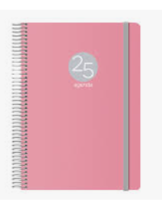 AGENDA 2025 MEMPHIS DÍA PÁGINA 15 X 21 CM MODELO ROSA...