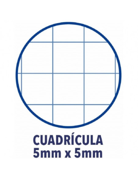 BLOC ENCOLADO COLOR 1 TAPA BLANDA A4+ 80 HOJAS 5X5 COLOR ROSA CHICLE  OXFORD 400123681