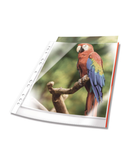 BOLSA 25 FUNDAS MULTITALADRO PP PREMIUM A4 CRISTALCLEAR 80MICRAS BORDE ROJO DURABLE 265503