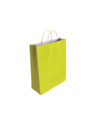 BOLSA PAPEL CON ASAS CELULOSA PISTACHO L 32X14X40 CM BISMARK 329823