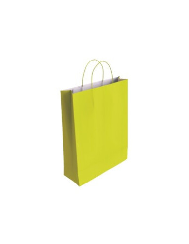 BOLSA PAPEL CON ASAS CELULOSA PISTACHO M 27X12X37 CM BISMARK 329822