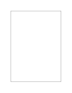 CAJA 100 HOJAS ETIQUETAS BLANCAS SIN MÁRGENES-LÁSER/INYECCIÓN DE TINTA/FOTOCOPIADORAS-210X297 MM MEGASTAR LP4MS-210297