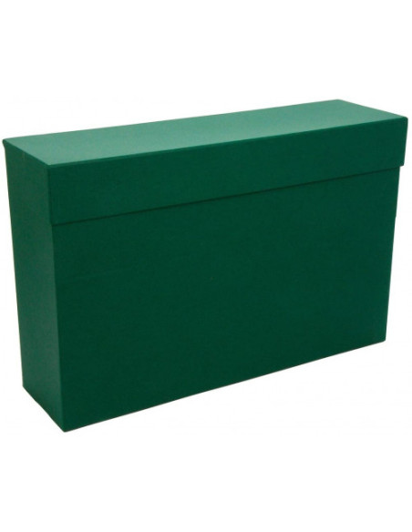 CAJA TRANSFERENCIA FOLIO CARTON FORRADO EN GELTEX (39X25