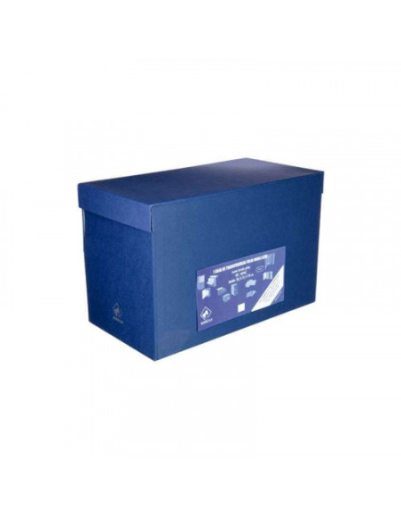 CAJA TRANSFERENCIA FOLIO DOBLE LOMO CARTON FORRADO EN GELTEX (39X25